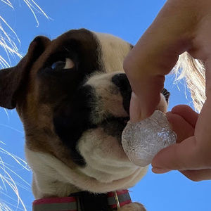 Meet your Posher, Nash